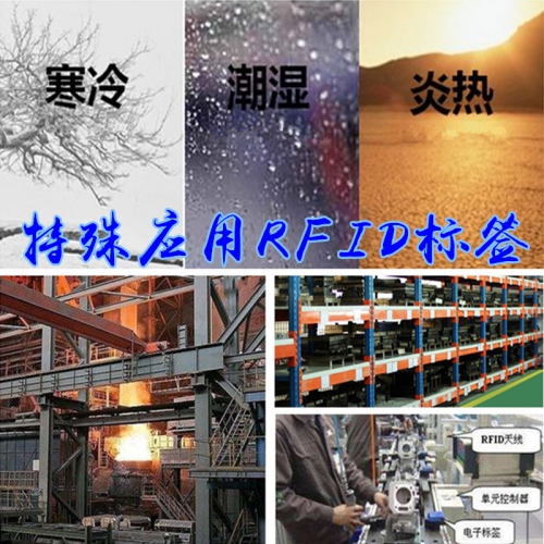RFID特种电子标签